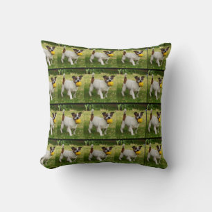 Coussin Fox Terrier Avec Son Motif De Balle, Jette Le Cous