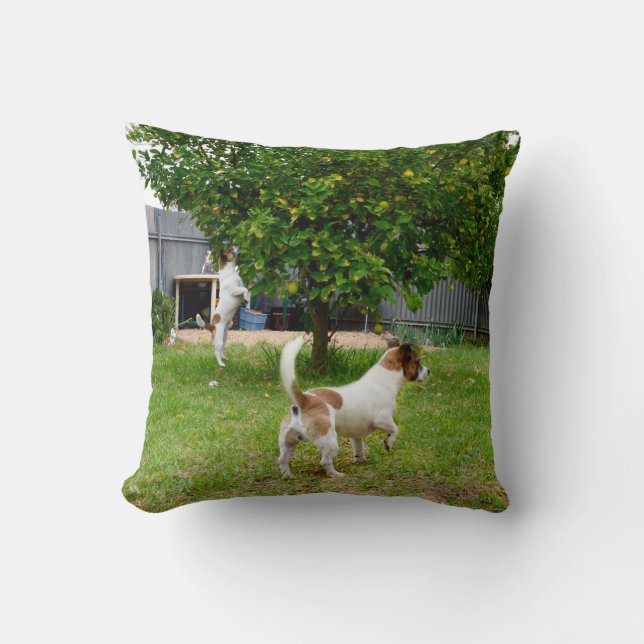 Coussin Fox Terrier sautant dans un arbre, (Recto)