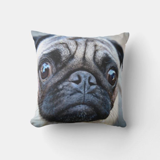 COUSSIN FOYER DE VISAGE DE CARLIN (Recto)
