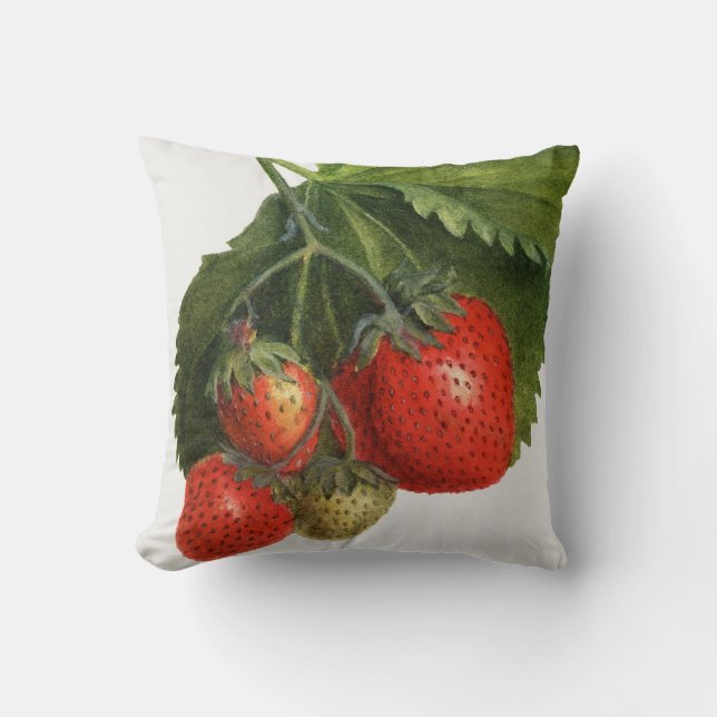 Coussin Fraise vintage (Recto)