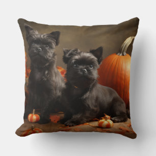 Coussin Français Chien Chien Chien Chien Chien Puppy Autom