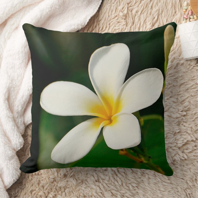Coussin Frangipani blanc (Couverture)