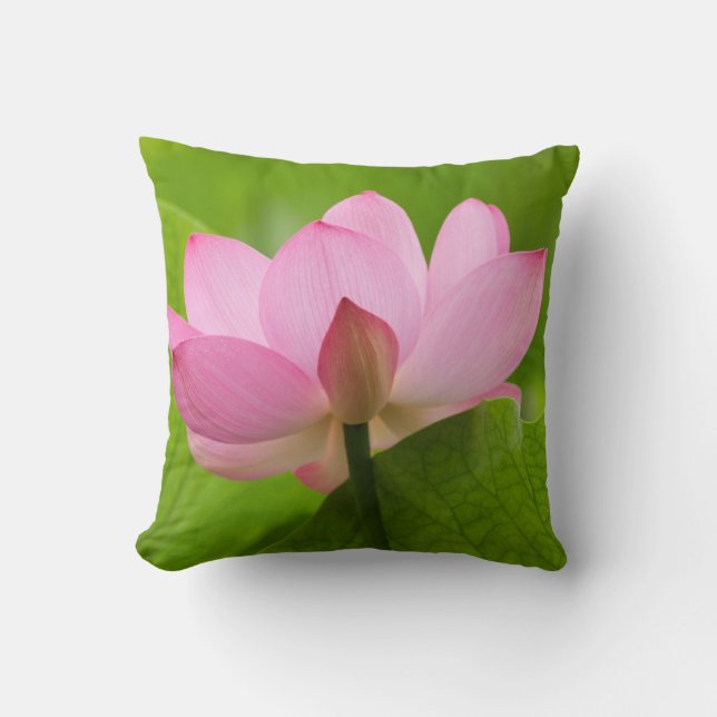 Coussin Franklin NC, jardin d'eau de Perry, Lotus (Recto)