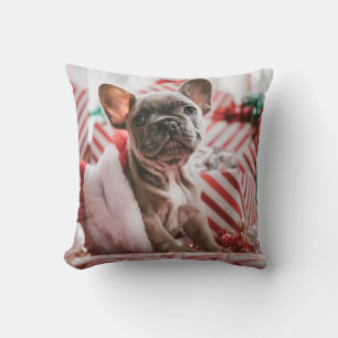 Coussin French Bulldog