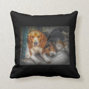 Coussin Frères Beagles
