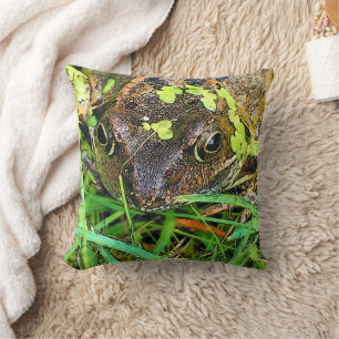 COUSSIN FROG