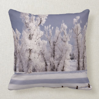 Coussin Frost a couvert les arbres et la barrière, le