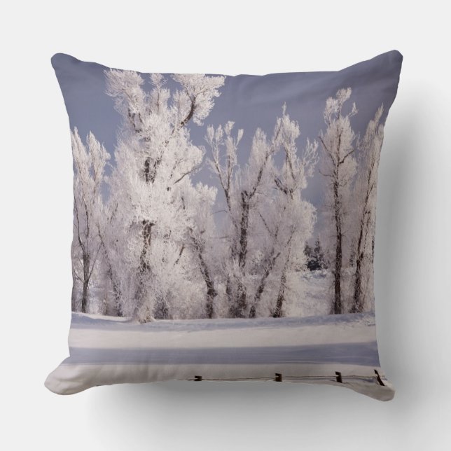 Coussin Frost a couvert les arbres et la barrière, le (Recto)