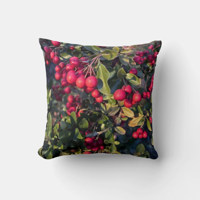 Coussin Fruit d'automne (Recto)