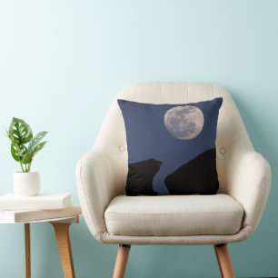 Coussin Full Moon Monument Valley, Arizona