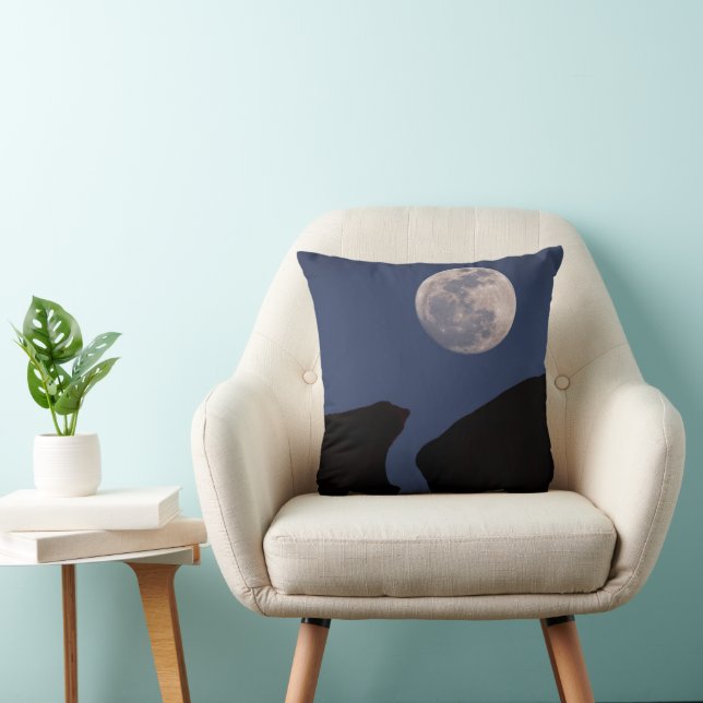 Coussin Full Moon | Monument Valley, Arizona (Chaise)