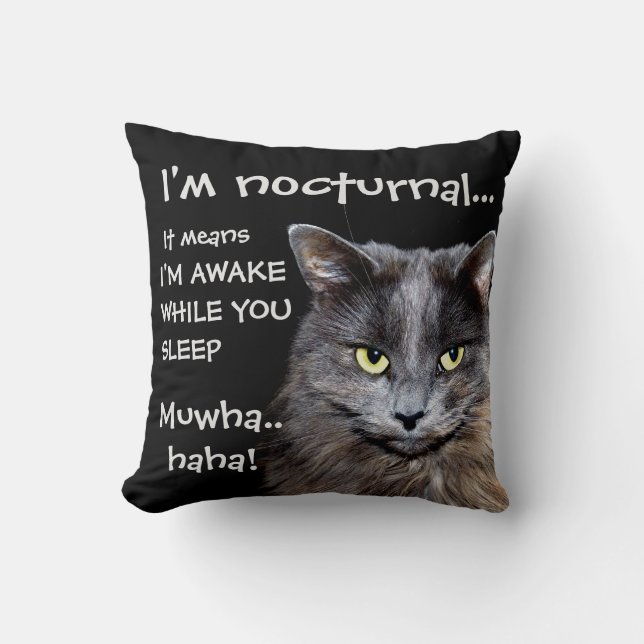 Coussin Funny Cat est Nocturne Evil Laugh (Recto)