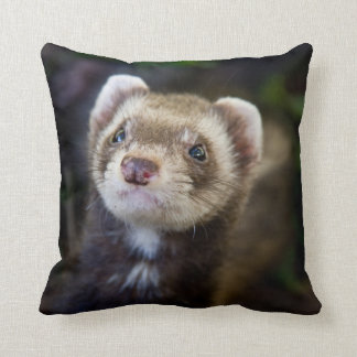 Coussin Furet