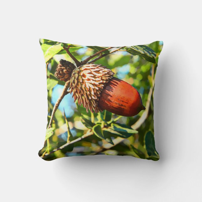 Coussin Galilee Acorn (Recto)