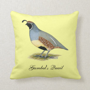 Coussin Gambel's Desert Quail