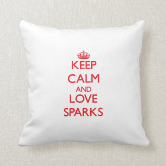 Coussin Gardez le calme et aimez les étincelles
