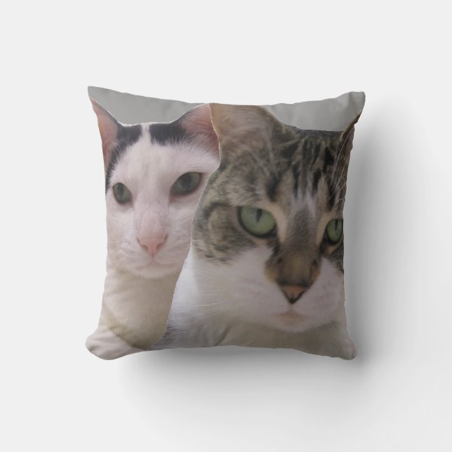 Coussin Gardez vos amis proches et vos ennemis proches Cha (Recto)