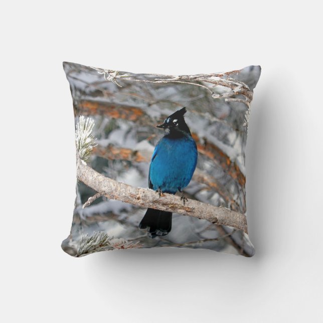 Coussin Geai de Steller par un jour d'hiver  (Recto)