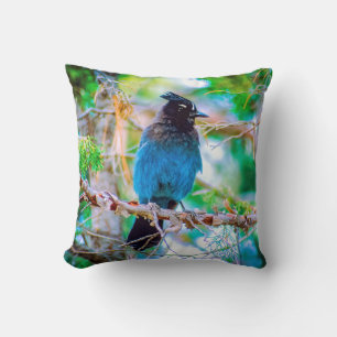 Coussin Geai de Steller - Photographie originale