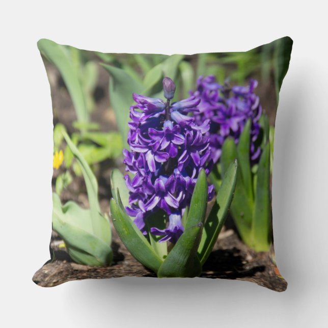 Coussin Géocinthe bleu au printemps (Recto)