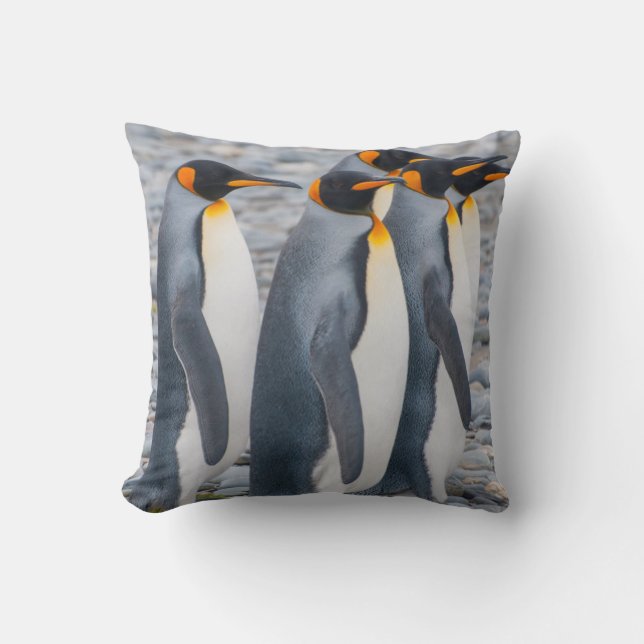 Coussin Géorgie du Sud. Manchots royaux (Recto)