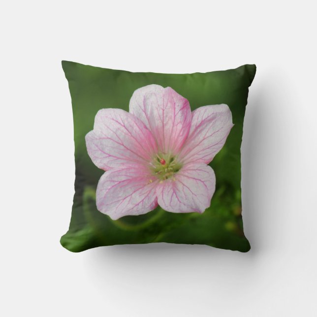 Coussin Géranium (Recto)