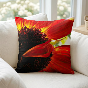 Coussin Gérbera Daisy Orange Rouge Photo Moderne Élégant