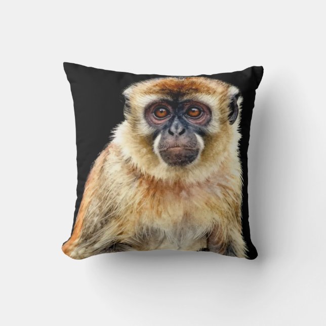 Coussin Gibbon (Recto)
