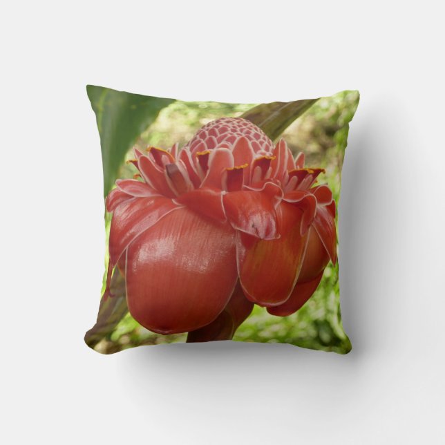 Coussin Gingembre Torchon Rouge Photographie de Fleur Trop (Recto)