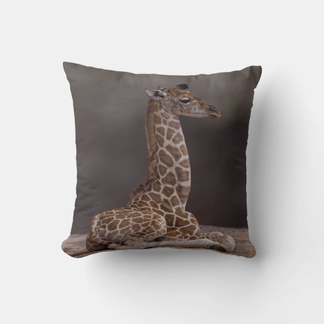 Coussin Girafeau (Recto)