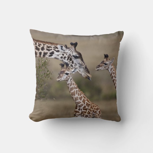 Coussin Giraffe Masaï (Giraffe Tippelskirchi) (Recto)