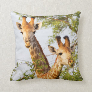 Coussin Giraffes Pékin au-dessus de la végétation