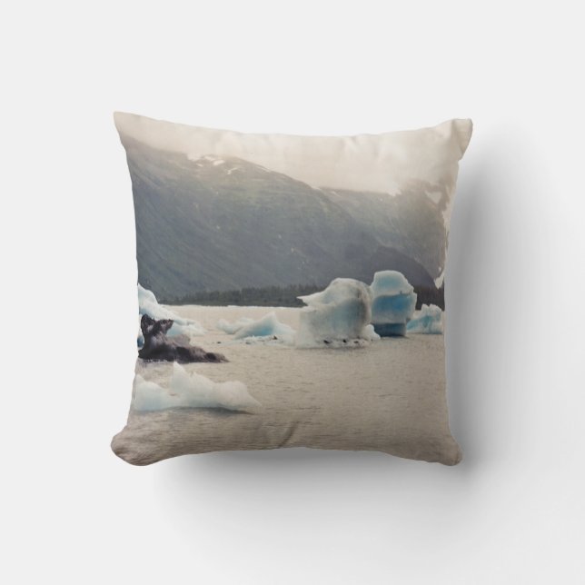 Coussin Glace bleue (Recto)