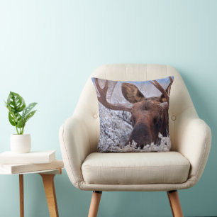 Coussin Glace et neige Grand Teton National Park, Wyomin