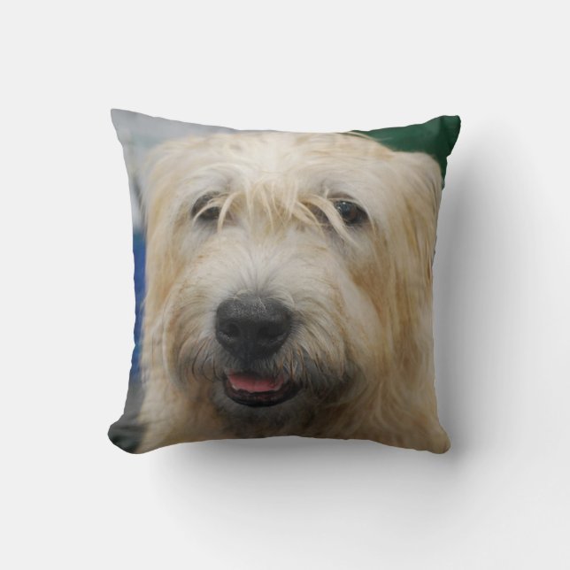 Coussin glen-of-imaal-terrier-7.jpg (Recto)