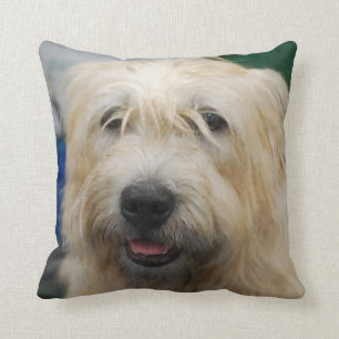 Coussin glen-of-imaal-terrier-7.jpg