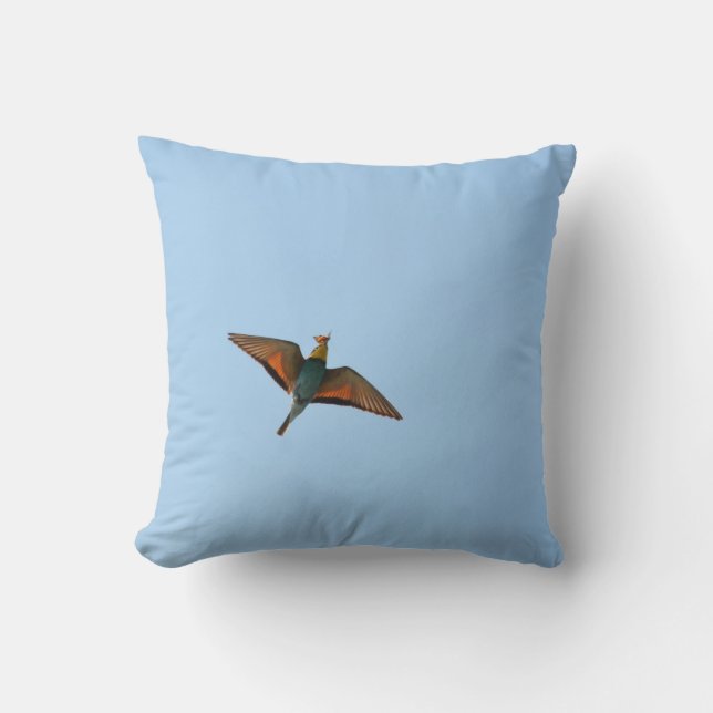 Coussin Gobemouche (Recto)