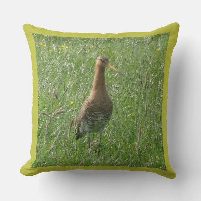 Coussin Godwit mignon dans l'oreiller à lancer d'herbe (Recto)