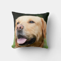 Golden Lab - L'âme d'un chien