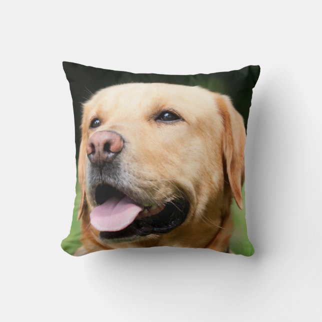 Coussin Golden Lab - L'âme d'un chien (Recto)