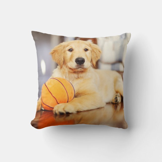 Coussin Golden Retriever avec un jouet de basket (Recto)