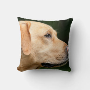 Coussin Golden Retriever chien animal de compagnie Jeter o