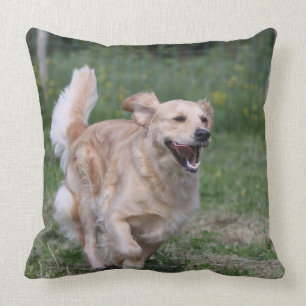 Coussin Golden retriever courant 1