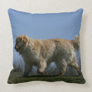 Coussin Golden retriever courant 3