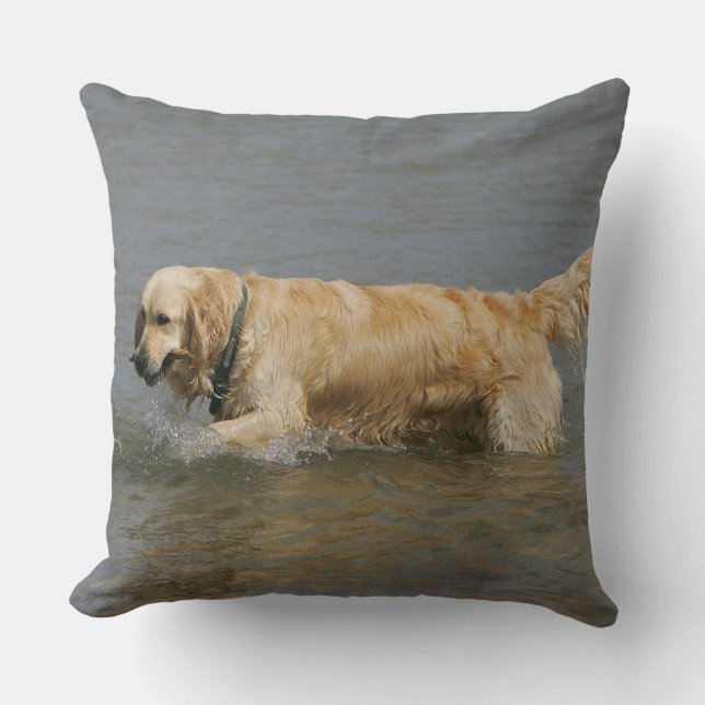 Coussin Golden retriever dans l'eau (Recto)