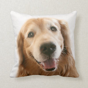 Coussin Golden retriever de sourire