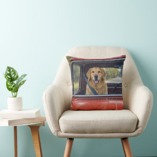 Coussin Golden Retriever portant une ceinture de sécurité