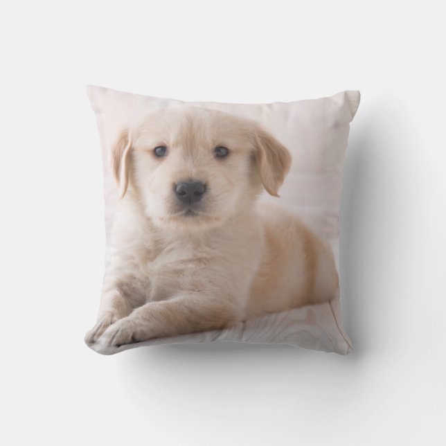 Coussin Golden retriever se couchant (Recto)