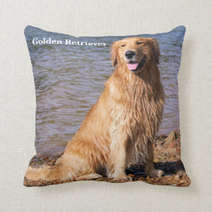 Coussin Golden retriever se reposant