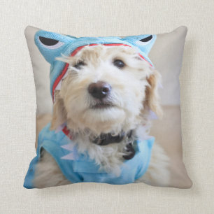 Coussin Goldendoodle En Costume De Requin